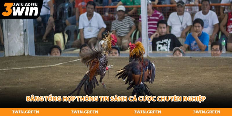 Bảng tổng hợp thông tin sảnh cá cược chuyên nghiệp