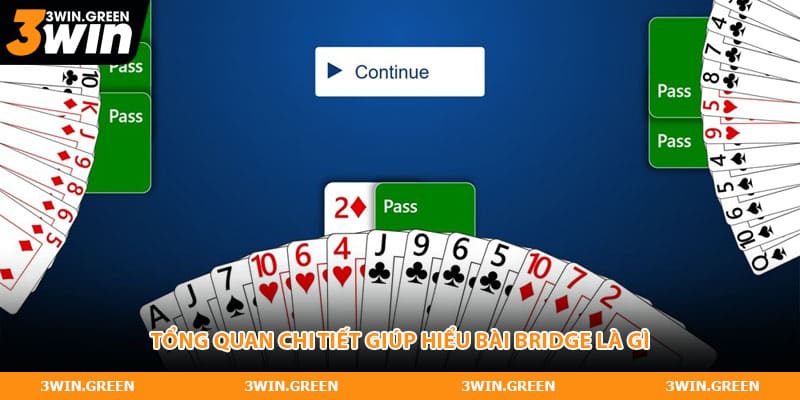Tổng quan chi tiết giúp hiểu bài Bridge là gì